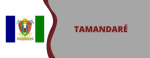 Brasão de Tamandaré